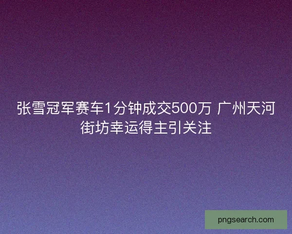 张雪冠军赛车1分钟成交500万 广州天河街坊幸运得主引关注